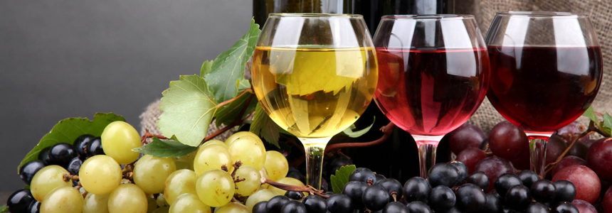 Dialekto Winery